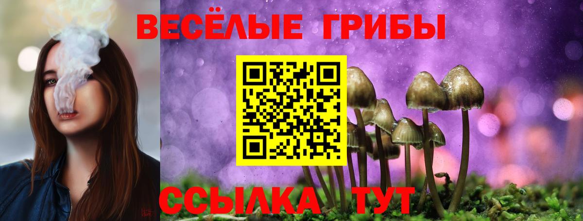купить  цена  Вход с VPN  Соль-Илецк  Псилоцибиновые грибы MAGIC MUSHROOMS 