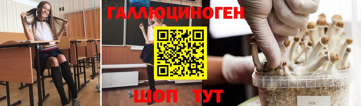 Псилоцибиновые грибы GOLDEN TEACHER Соль-Илецк